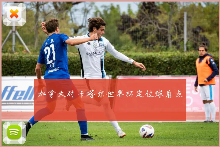 加拿大对卡塔尔世界杯定位球看点