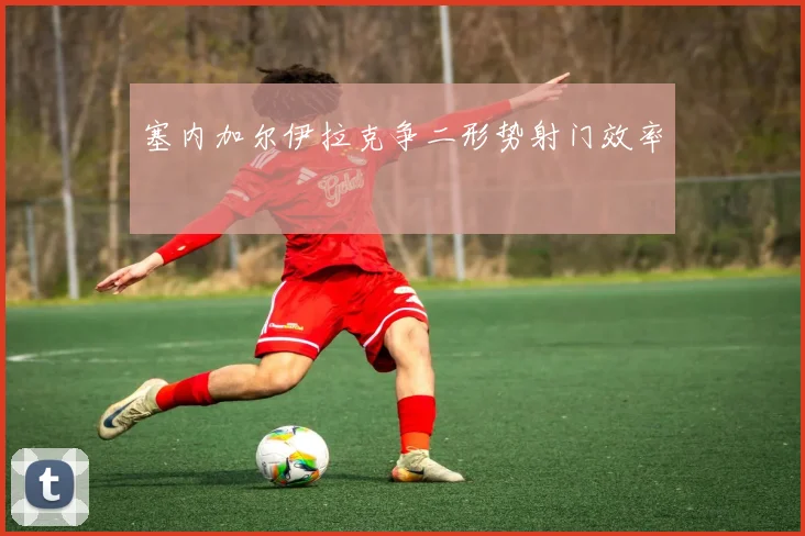 塞内加尔伊拉克争二形势射门效率