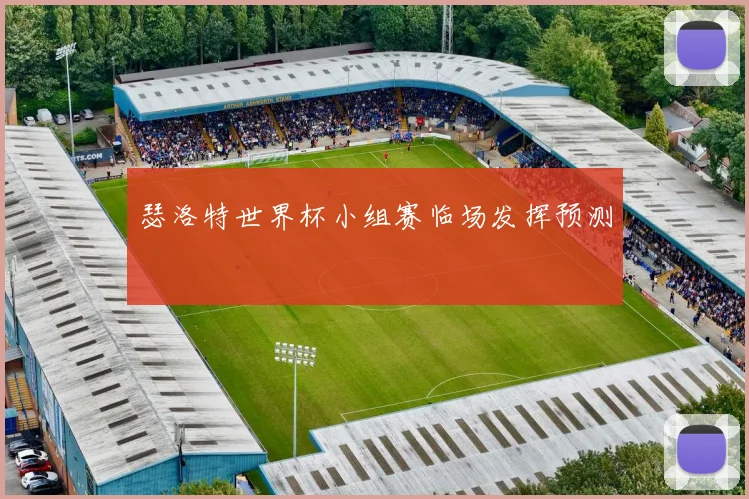 瑟洛特世界杯小组赛临场发挥预测