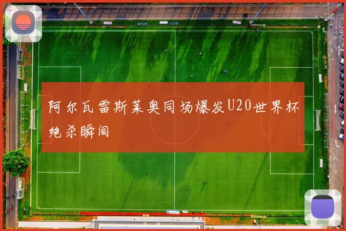 阿尔瓦雷斯莱奥同场爆发U20世界杯绝杀瞬间