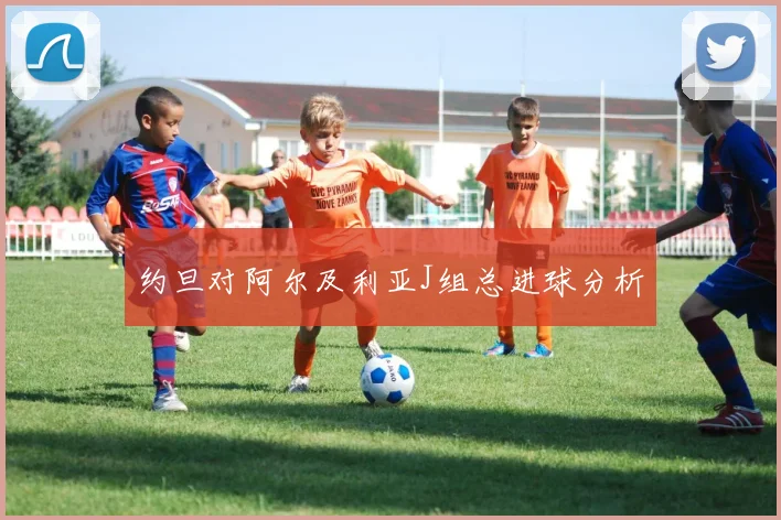 约旦对阿尔及利亚J组总进球分析