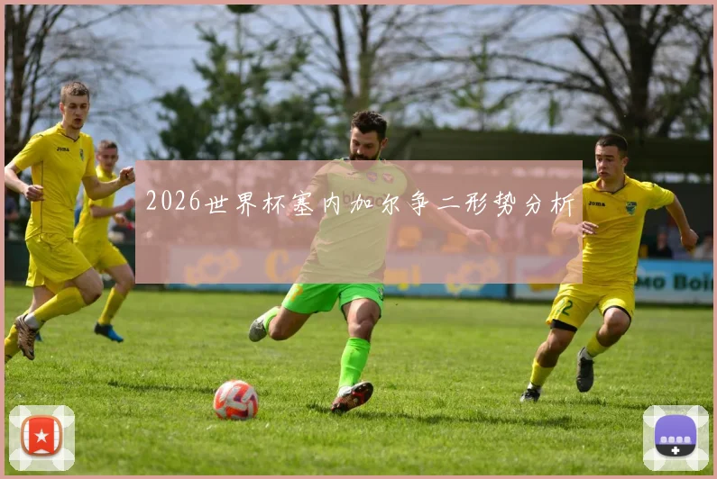 2026世界杯塞内加尔争二形势分析