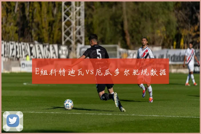 E组科特迪瓦vs厄瓜多尔犯规数据