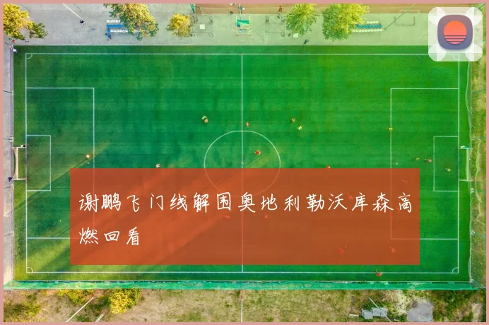 谢鹏飞门线解围奥地利勒沃库森高燃回看