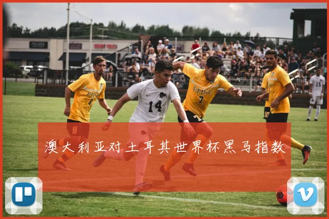 澳大利亚对土耳其世界杯黑马指数