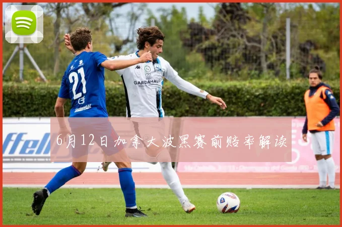 6月12日加拿大波黑赛前赔率解读
