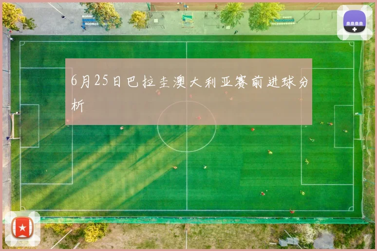 6月25日巴拉圭澳大利亚赛前进球分析
