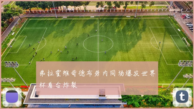 弗拉霍维奇德布劳内同场爆发世界杯看台炸裂